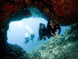 Paphos Dive Centre Paphos Dive Centre